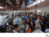 Fischmarkt von Olhao